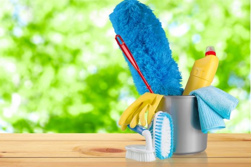 Professional household cleaning visit in a Finchley flat