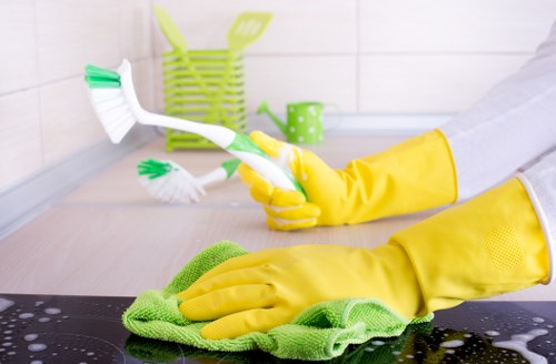 Local cleaner handling kitchen and bathroom cleaning in Finchley