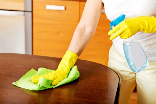 Local Finchley cleaning service for family houses and apartments
